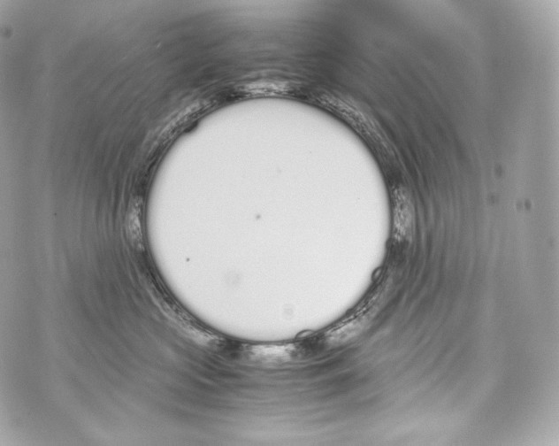 X0000070380573200607072157