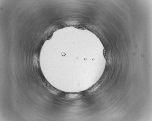 X0000070380575200607072157