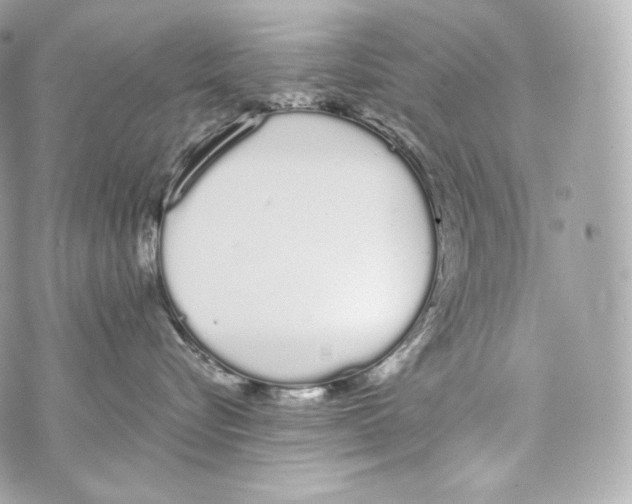 X0000070380576200607072157