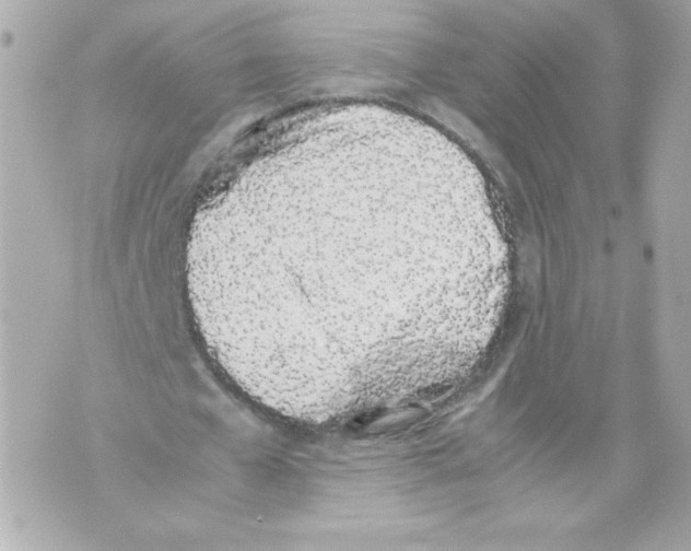 X0000070380577200607072156