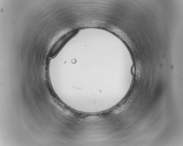 X0000070380578200607072156