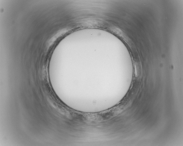 X0000070380579200607072156