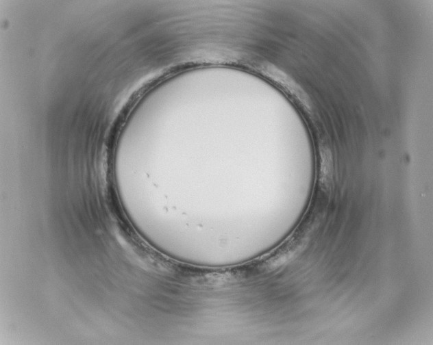 X0000070380580200607072156