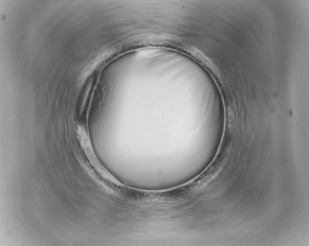 X0000070380581200607072156