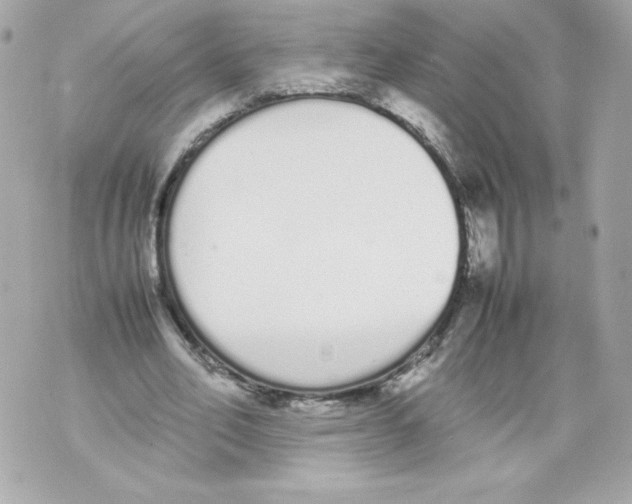 X0000070380582200607072156