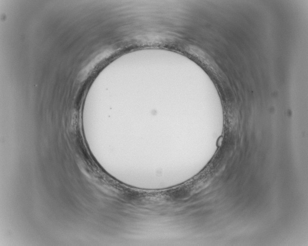 X0000070380583200607072156