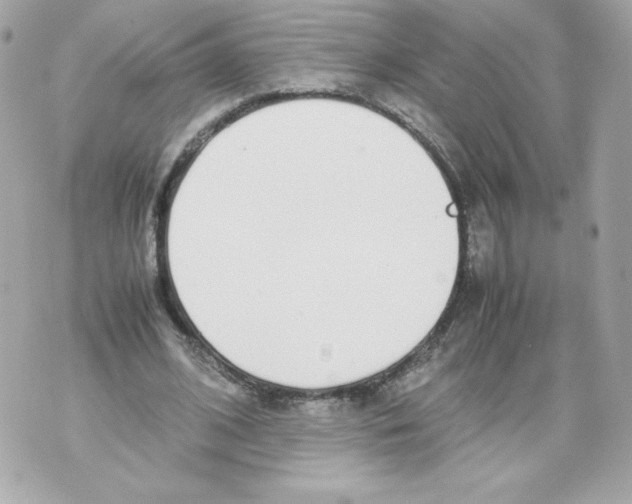 X0000070380584200607072156