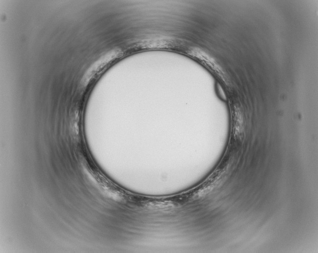 X0000070380586200607072156