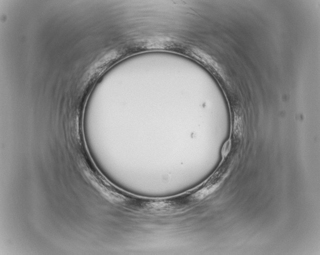 X0000070380589200607072156