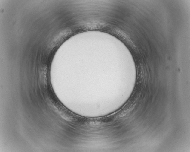 X0000070380590200607072156