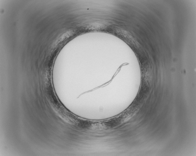 X0000070380591200607072156