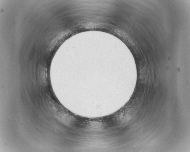 X0000070380592200607072156