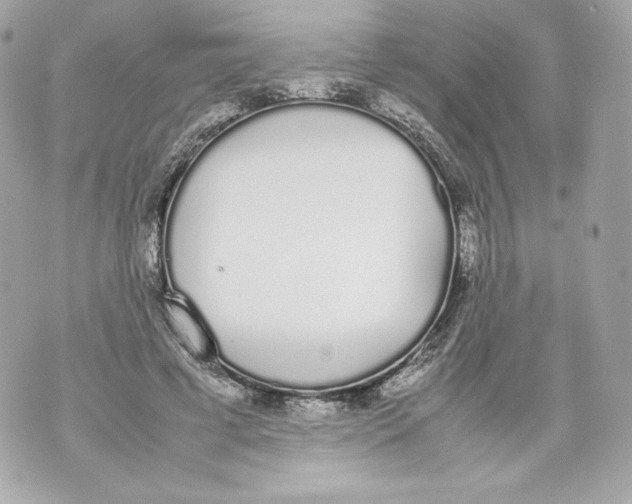 X0000070380593200607072156