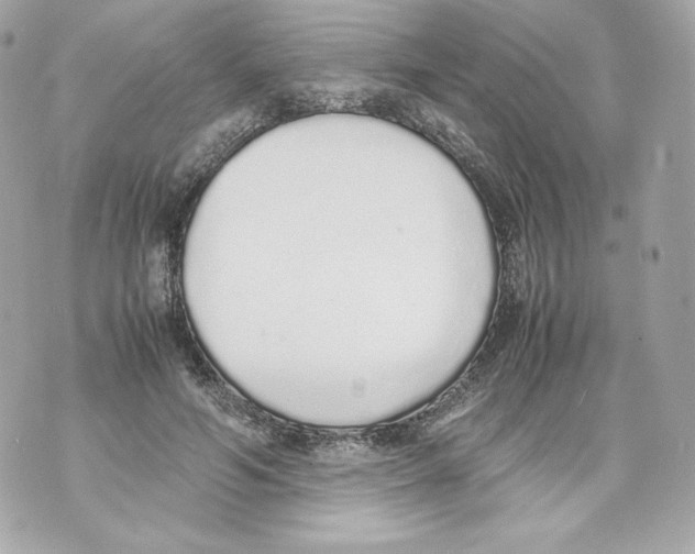 X0000070380594200607072156