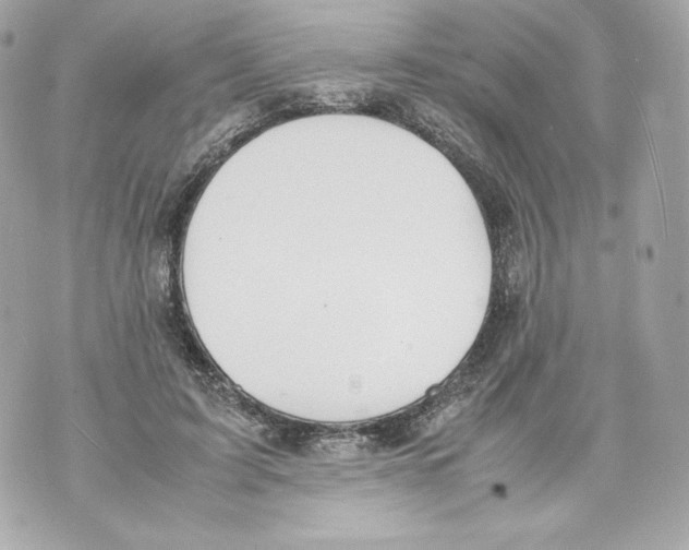 X0000070380595200607072156