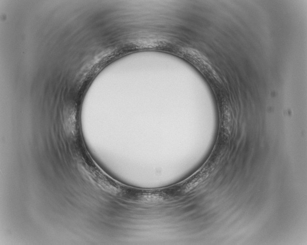 X0000070380596200607072156