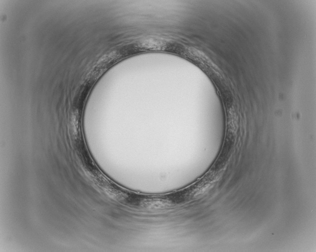 X0000070380597200607072156