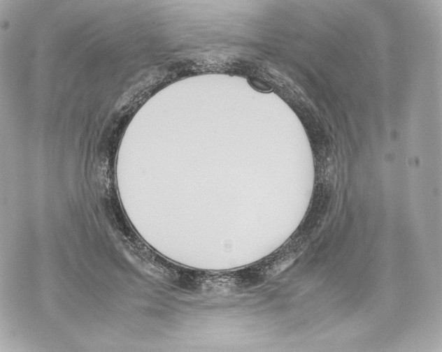 X0000070380599200607072156