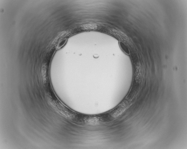 X0000070380600200607072156