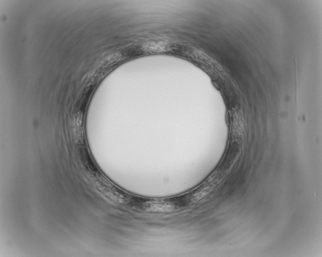 X0000070380601200607072156