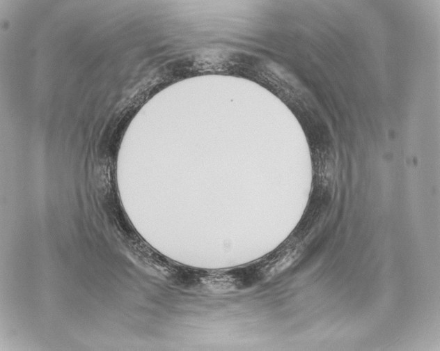 X0000070380603200607072156