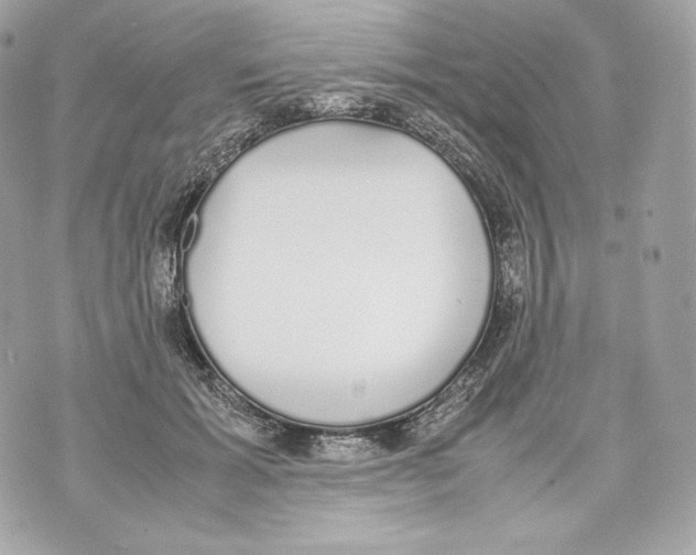 X0000070380605200607072156