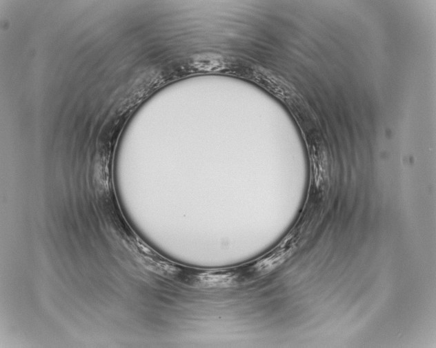 X0000070380606200607072156