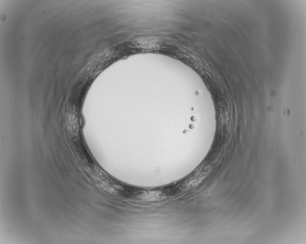 X0000070380609200607072156