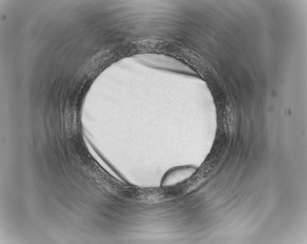 X0000070380610200607072156