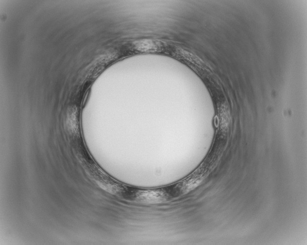 X0000070380611200607072155