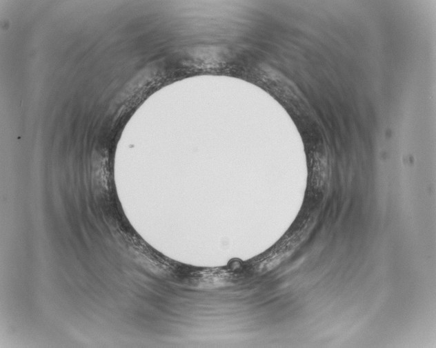 X0000070380612200607072155