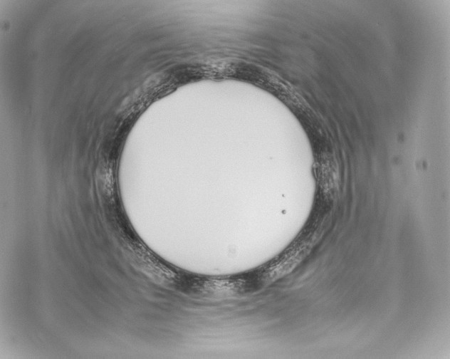 X0000070380613200607072155