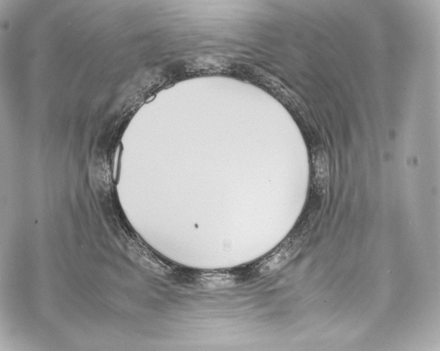 X0000070380617200607072155