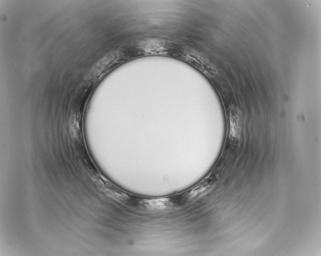 X0000070380618200607072155