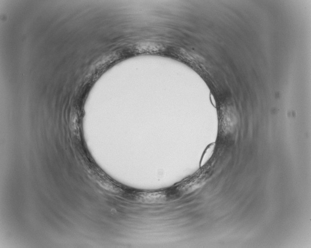 X0000070380619200607072155