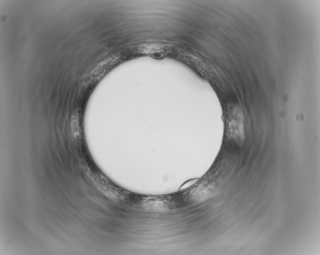 X0000070380620200607072155