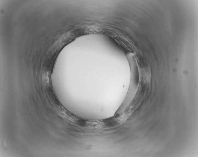 X0000070380621200607072155