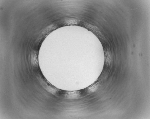 X0000070380622200607072155