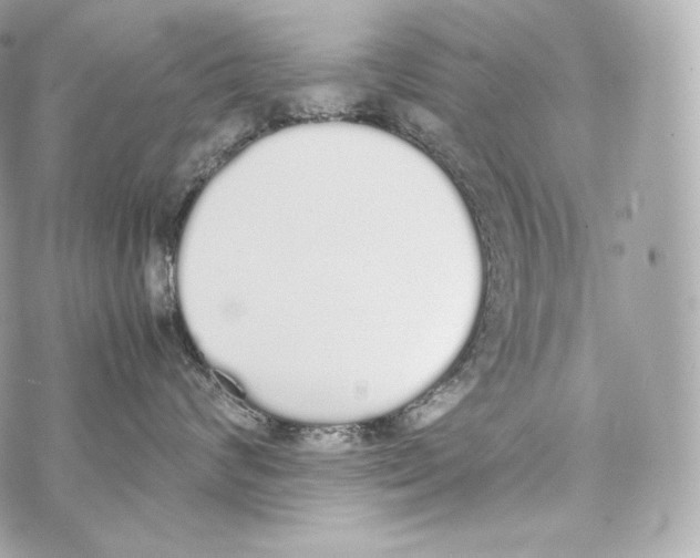 X0000070380624200607072155