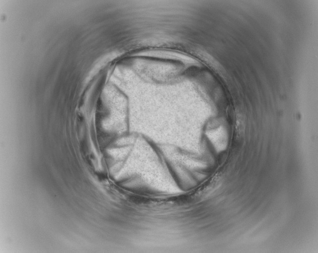 X0000070380626200607072155