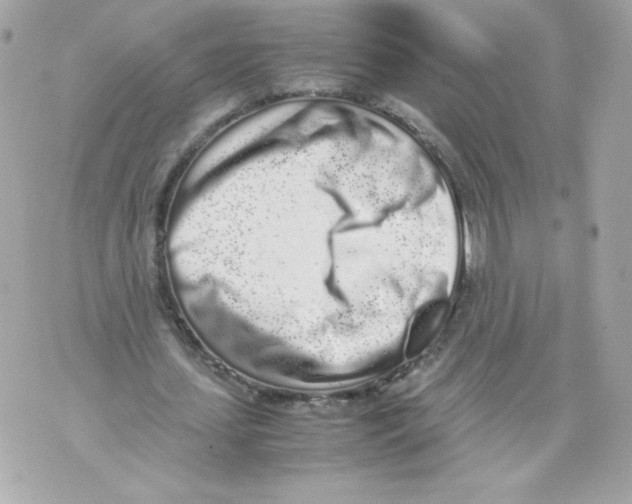 X0000070380627200607072155