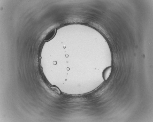 X0000070380629200607072155