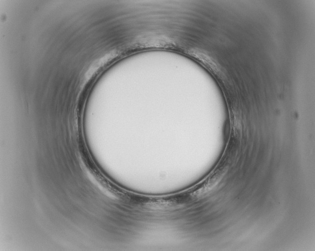 X0000070380630200607072155