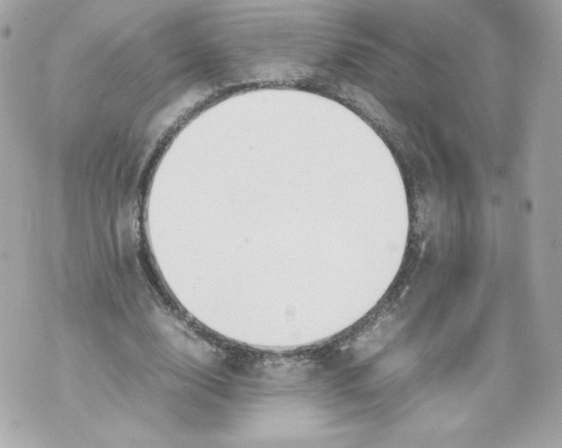 X0000070380632200607072155