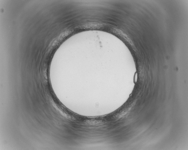 X0000070380633200607072155