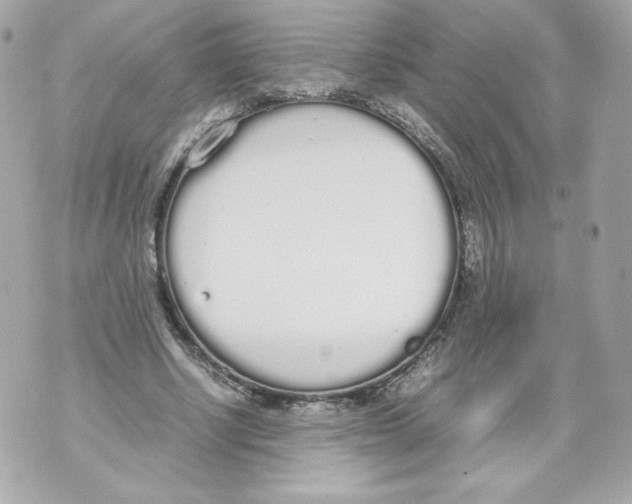 X0000070380634200607072155