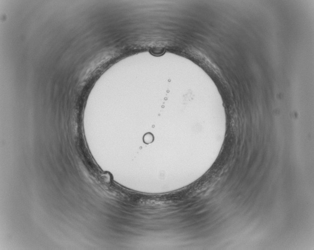 X0000070380635200607072155