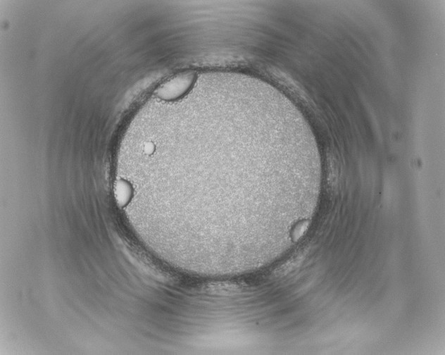 X0000070380636200607072155