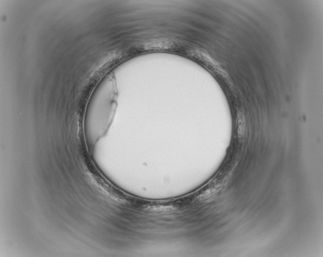 X0000070380637200607072155