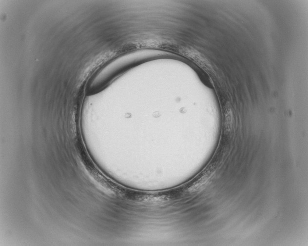 X0000070380638200607072155